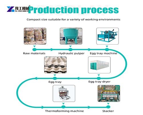 egg tray manufacturing process