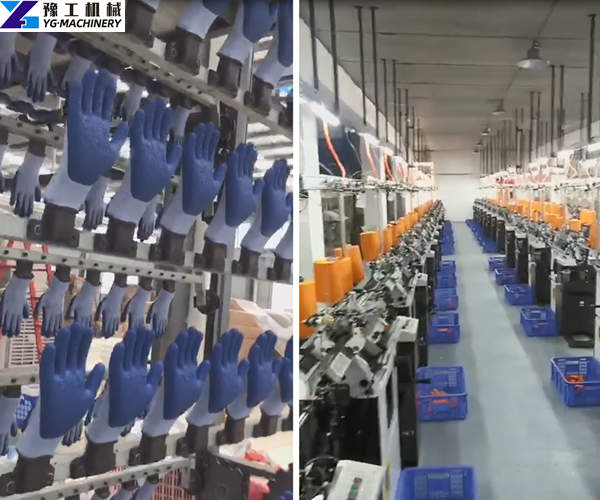 Labor Production Gloves Plant Display