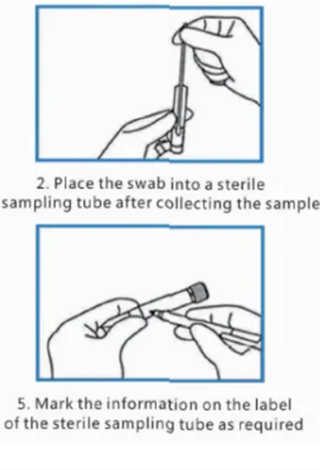 Medical Disposable Sample Collection Tubes