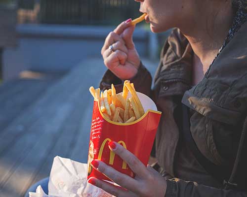 french fries production business