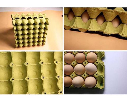 Egg Trays