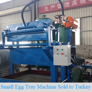 Small Egg Tray Machine Price In Turkey
