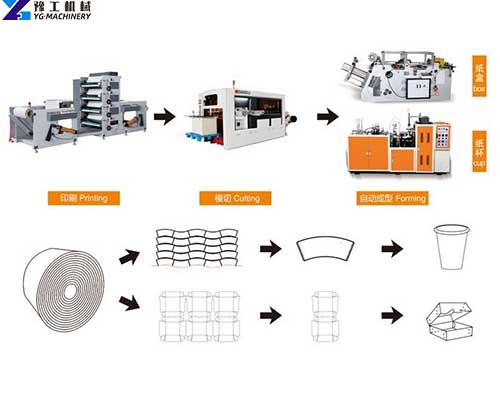 Paper Cup Forming Process