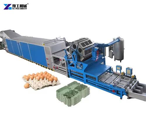 large egg tray manufacturing machine