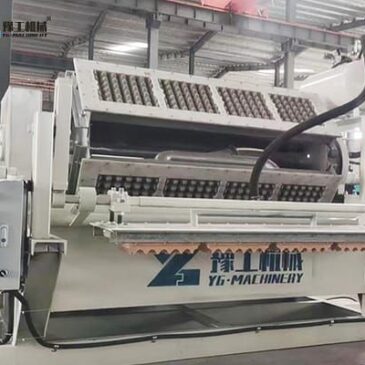 Egg Tray Manufacturing Machine Exported to Australia