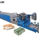 egg tray production line
